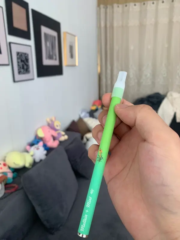 Herbal Diffuser Pen photo review