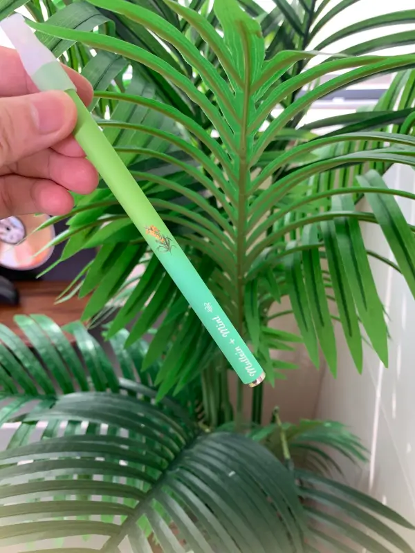 Herbal Diffuser Pen photo review